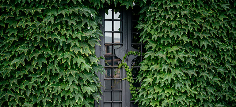 Garden Gate Repair in Lynn Haven, FL