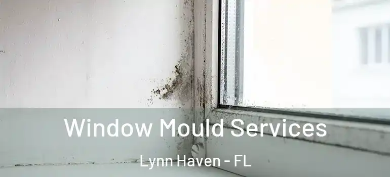  Window Mould Services Lynn Haven - FL